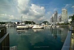 Caribbean At Keppel Bay (D4), Condominium #543050011